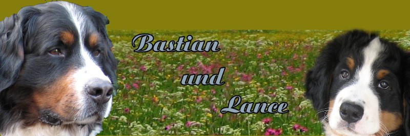 Bastian und Lance